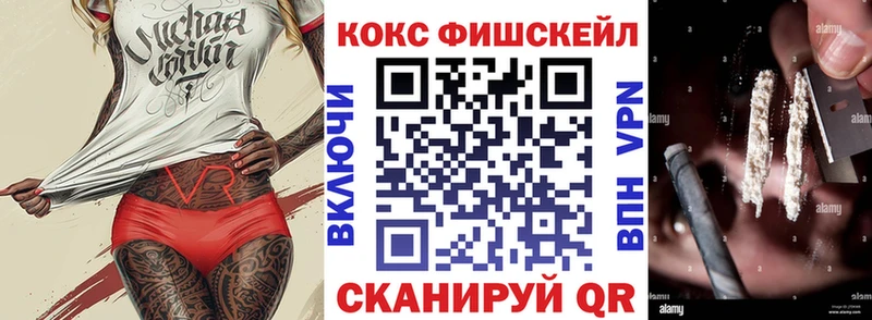 COCAIN Эквадор  Ардатов 