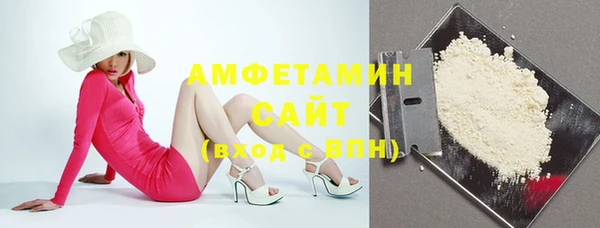 мет Алексин