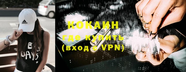 мет Алексин