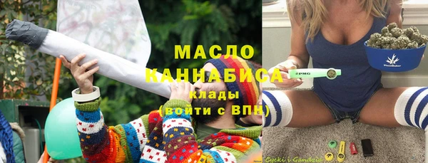 мет Алексин