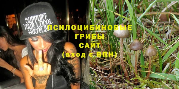 мет Алексин
